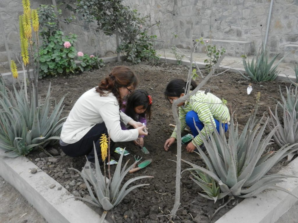 perou-lima-atelier-enfants-education-bidonville-potager