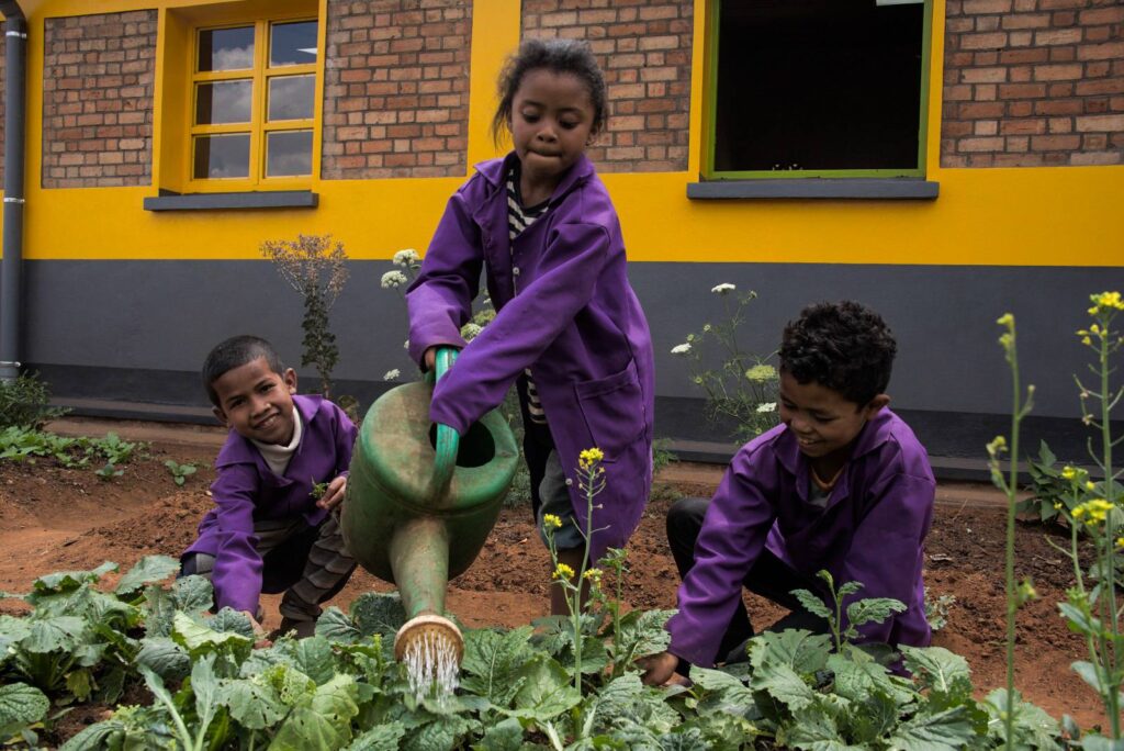 tana-potager-pour-cantine-scolaire-education-enfants-madagascar-solidarite-internationale